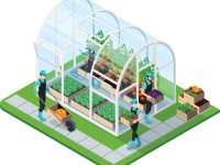 Så förverkligar du drömmen om ett växthus