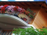 Lättskötta växter till alla lägen för balkongen